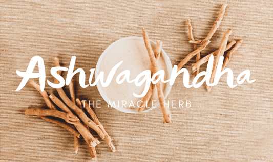 Ashwagandha, the Miracle Herb, & Why You Need It In Your Life - RYZE