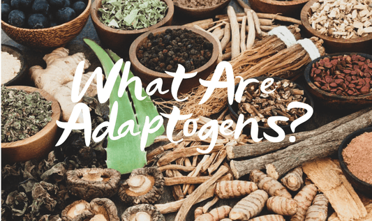 What are Adaptogens? - RYZE