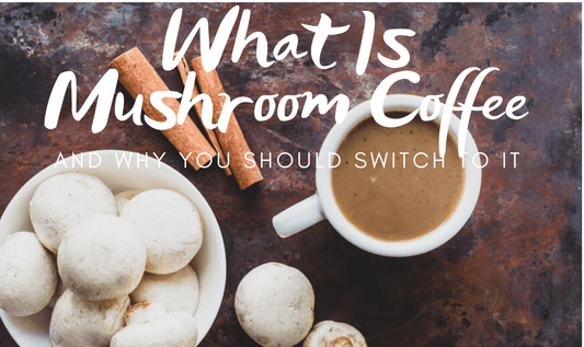 What Is Mushroom Coffee and Why You Should Switch to It - RYZE